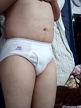 Japanesemask webcam