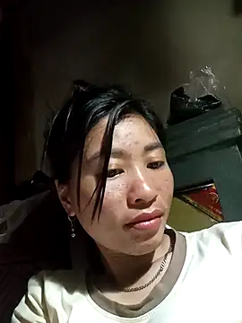 Hiniyk2 webcam