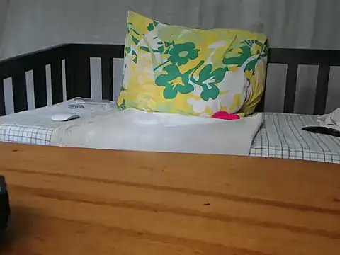 NIRVANA webcam