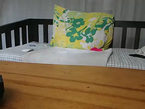 NIRVANA webcam