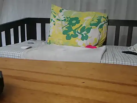 NIRVANA webcam
