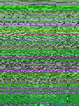 isabella_horney_ chat room