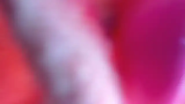 Preview of luna_analya