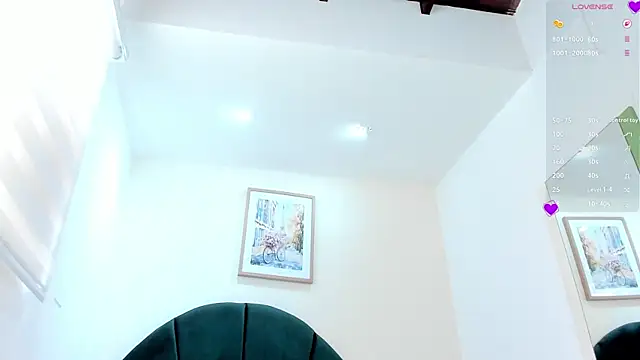 _hanna_vic webcam