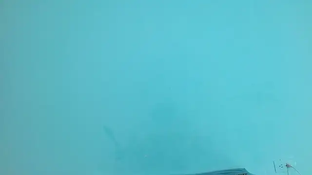 churcavagina40 webcam