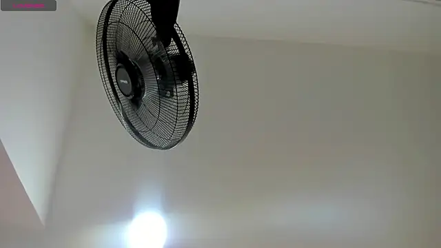 medoly03 webcam
