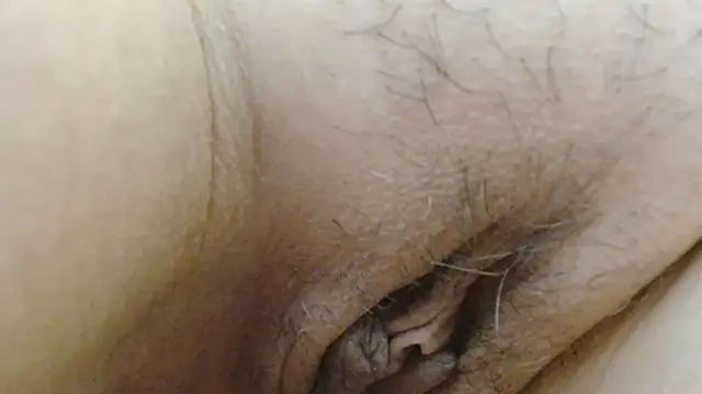 sonyx webcam