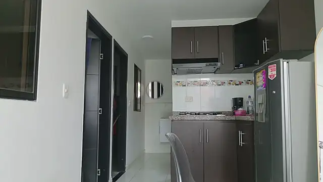 grey___27 webcam