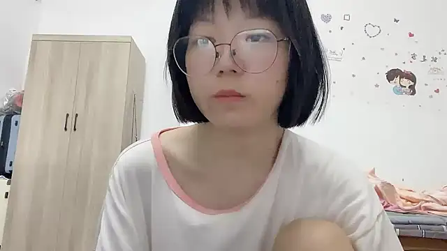 Belle-LL webcam