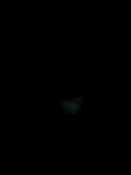 tkstanu webcam