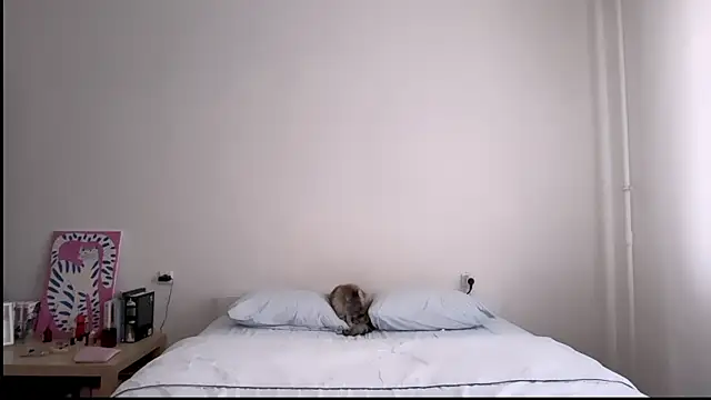 Milky___Way webcam