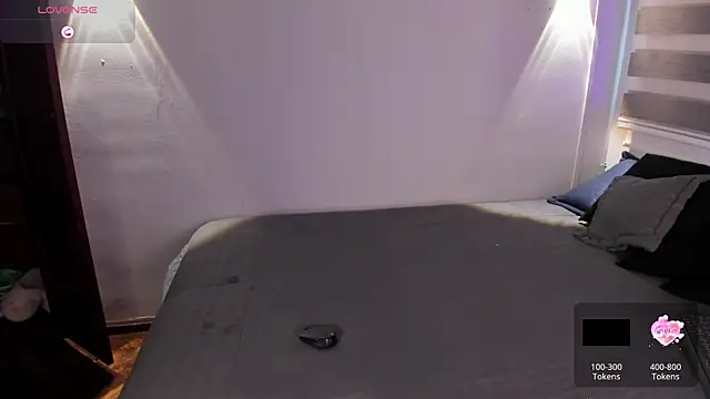 MERIDA_TAYLOR webcam