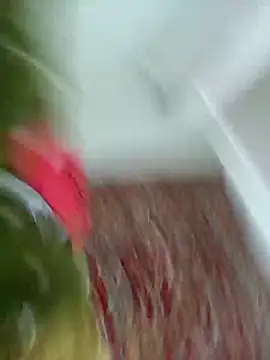 Pineapple04 webcam