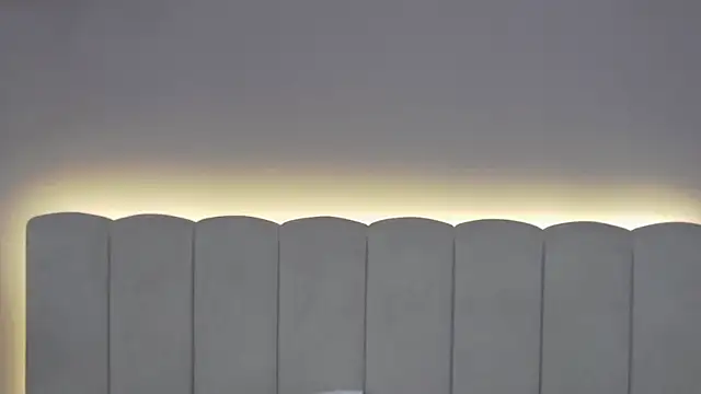 EvaNova_ webcam