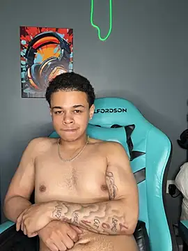 l-laross webcam