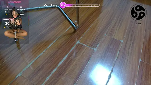 lincebdsm webcam