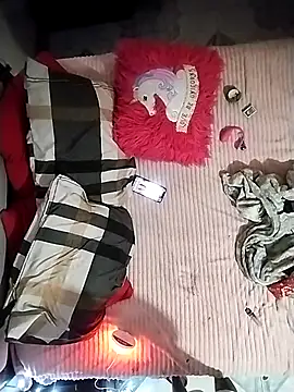 Wsativa317 webcam