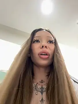 StreetCelebrity webcam