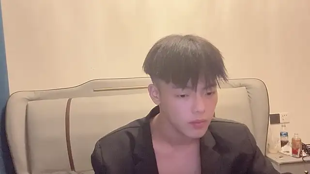 LY-0101 webcam