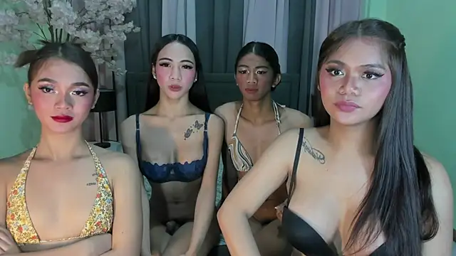 Model: ts_salsalitas69