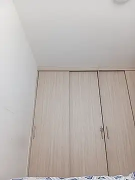 Ary- webcam