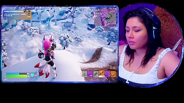 ALIS_E_G webcam