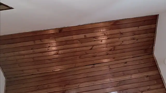 azul_veraa webcam