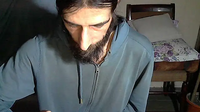 vulpe8400 webcam