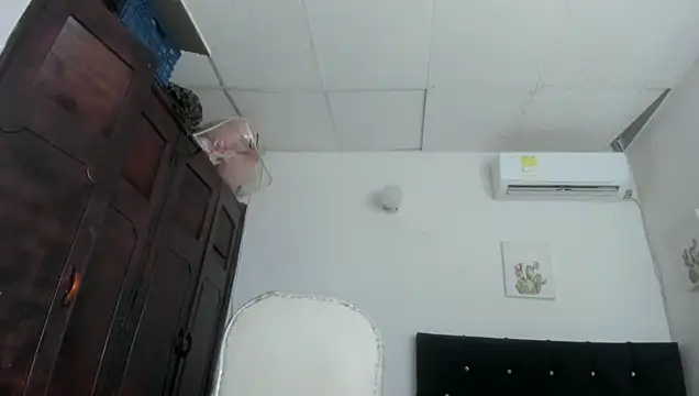 barbie_ds webcam