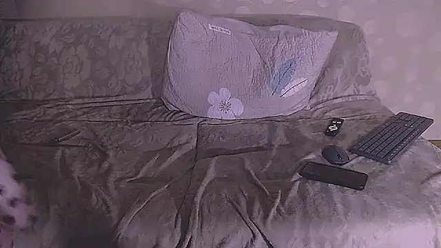SoftLia webcam