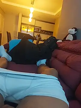 Merlin2310 webcam