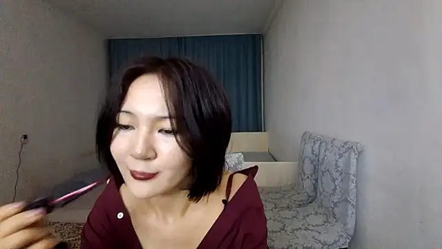 Lyndasilk webcam