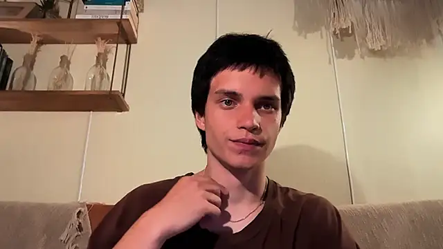 twl8vibe webcam