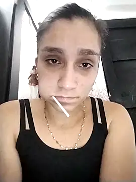 vegonicarouge webcam