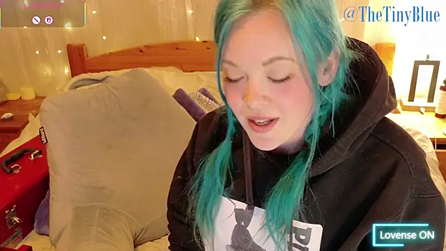 thetinyblue webcam