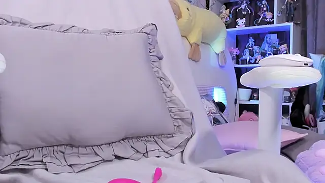Supaidagaru webcam