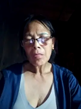 toyo_668 webcam