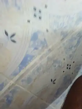 sexy_bhabi_2026 webcam