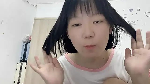 Belle-LL webcam