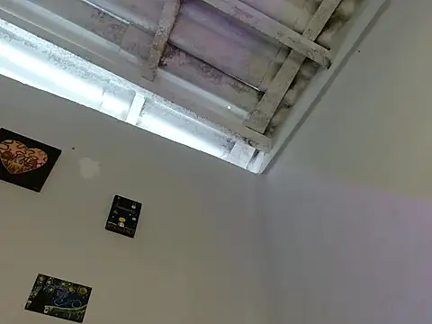 Santiago_Ortiz_ webcam