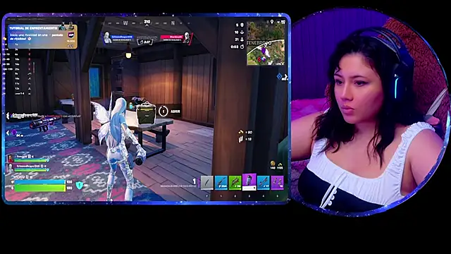 ALIS_E_G webcam