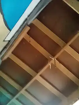 TUcalifa