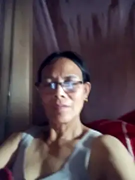 toyo_668 webcam