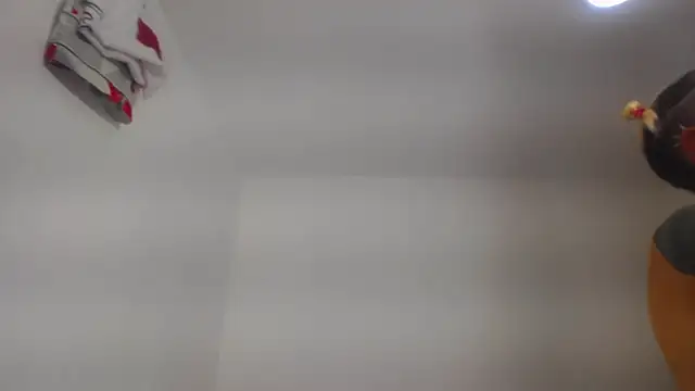 barbara_anal_squirt_ webcam