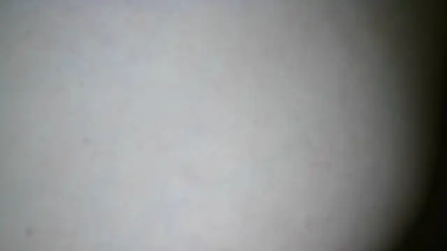SWEETLUNA077 webcam