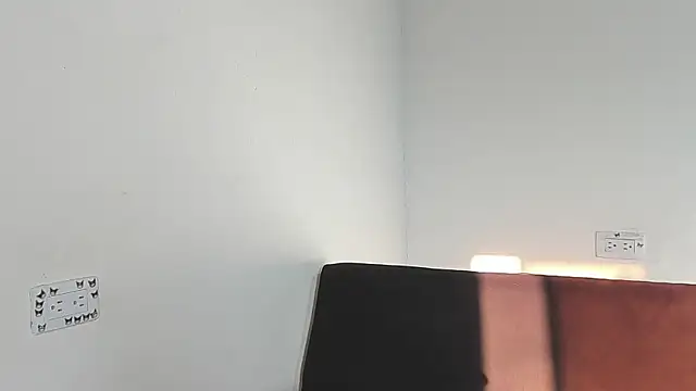 Eirlysx webcam