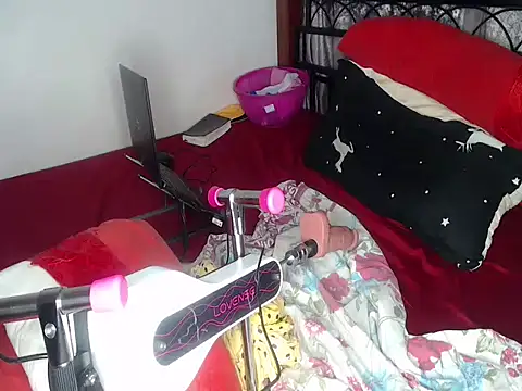Whimsicalwillow webcam