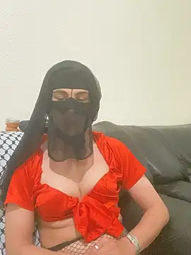 Modèle: Ashwak_trans