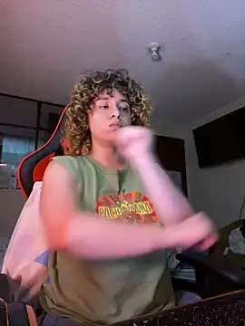 HUMANXTHING webcam
