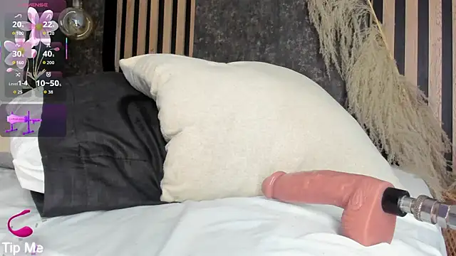 salome-gh webcam